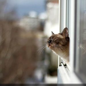 Meet your Posher, Chelsey